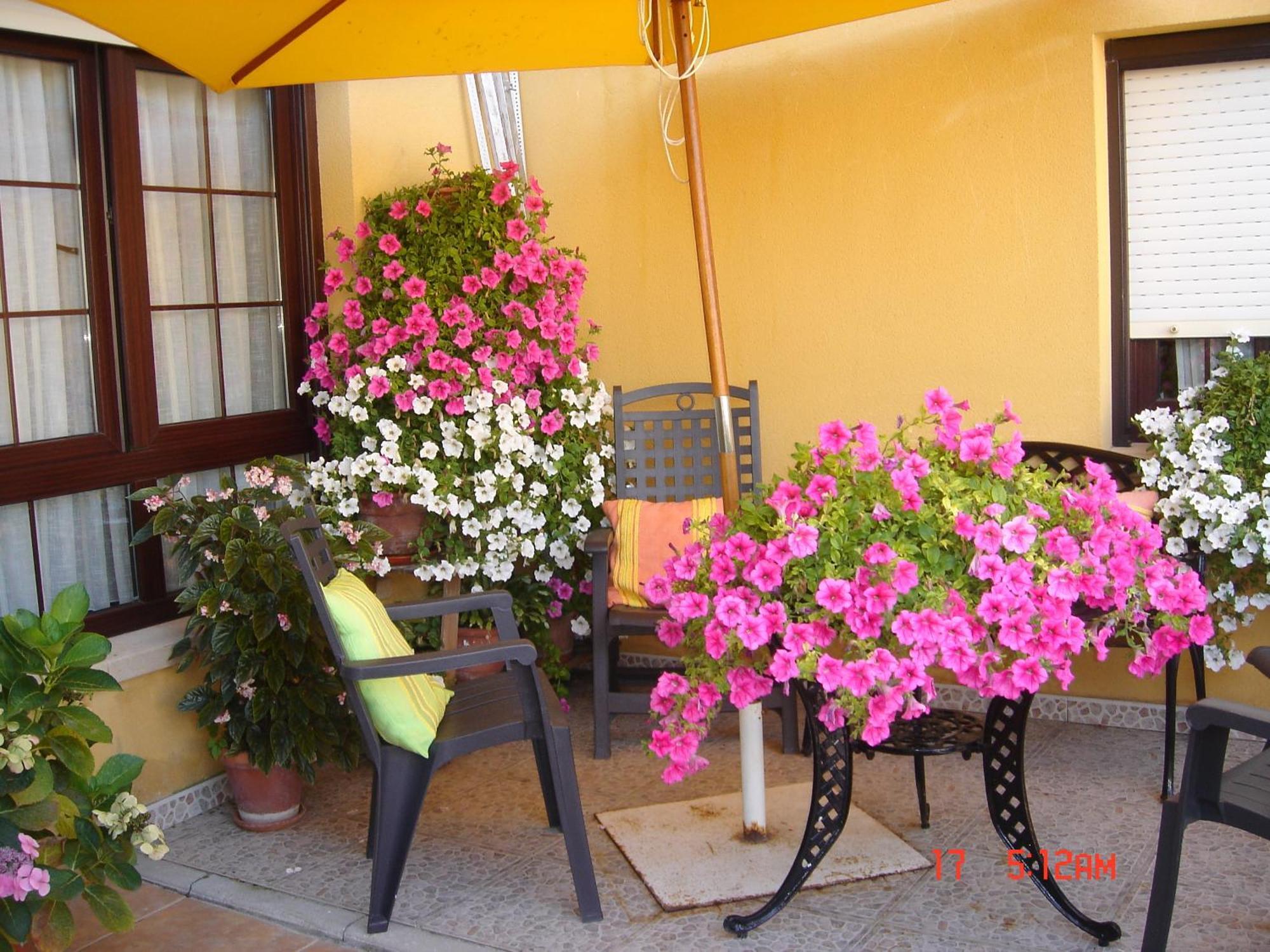 Casa de hóspedes Anjanas De *